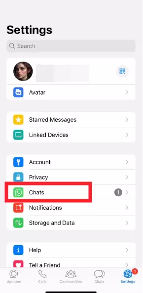 WhatsApp Chats in iOS