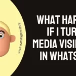 What Happens If I Turn Off Media Visibility In WhatsApp