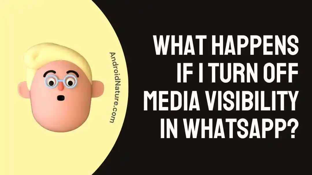 What Happens If I Turn Off Media Visibility In WhatsApp
