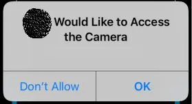allow camera access on iPhone