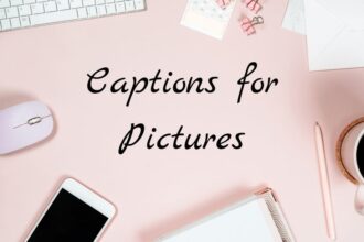 Captions for pictures