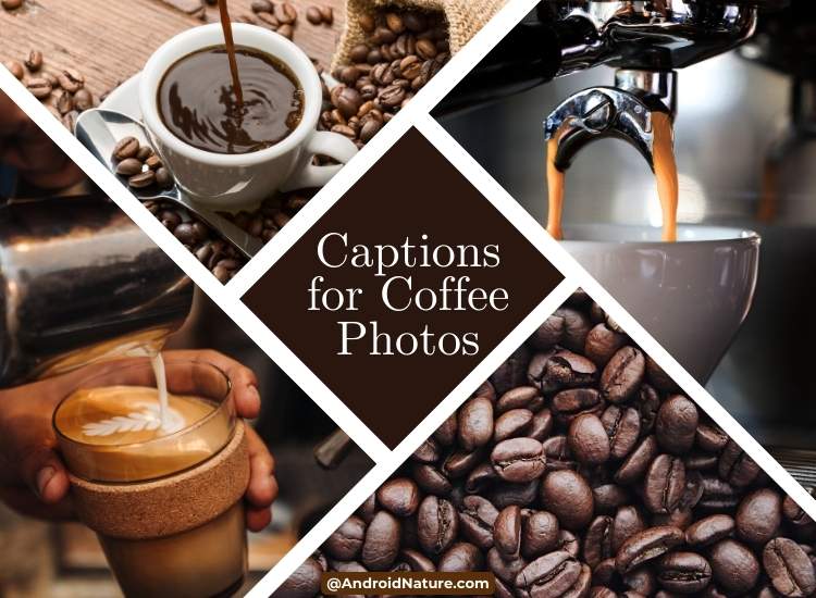 captions for coffee photos