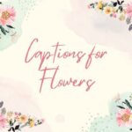 Captions for Flowers