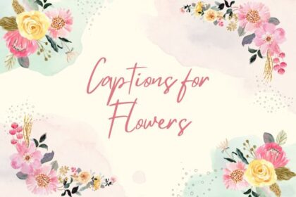 Captions for Flowers