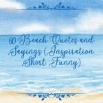 Beach Quotes and Sayings (Inspiration, Short, Funny)