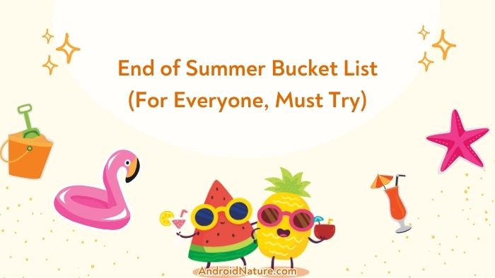 Summer Activity