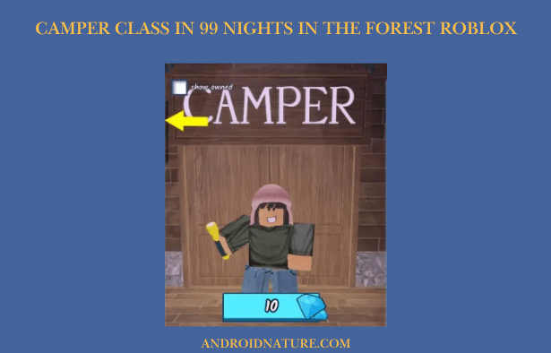 Camper Class in 99 nights in the forest Roblox
