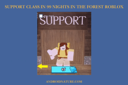 Support Class in 99 Nights in the Forest