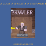 brawler Class in 99 nights in the forest Roblox
