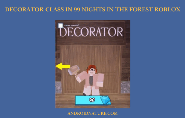 Decorator Class in 99 Nights in the Forest